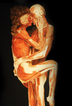 fuckyeahsexanddeath:  Gunther von Hagens