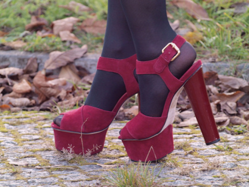 (via CATS &amp; DOGS - fashion and style diary: Will There Be Stars)