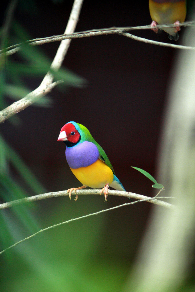 colors&hellip;