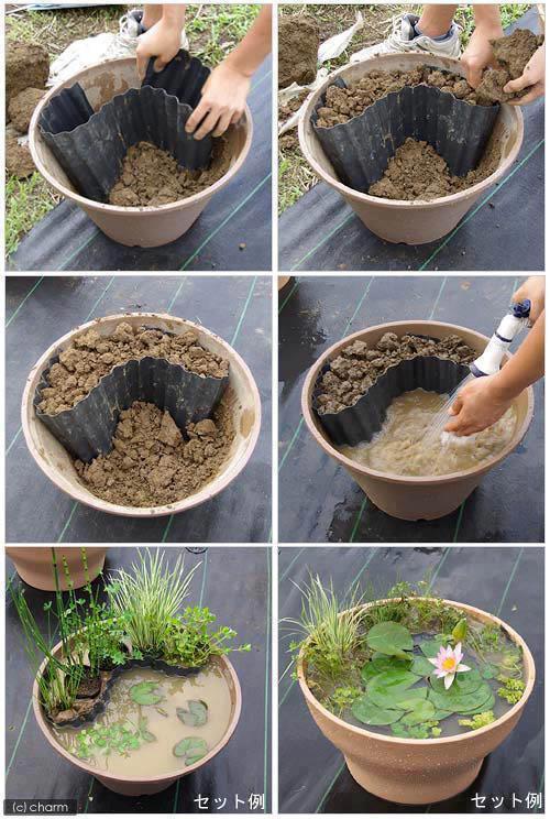 tin-pan-ali:justinsbeach:How to make a pond in a small pot or bucketoh gosh i love thisit’s like a l