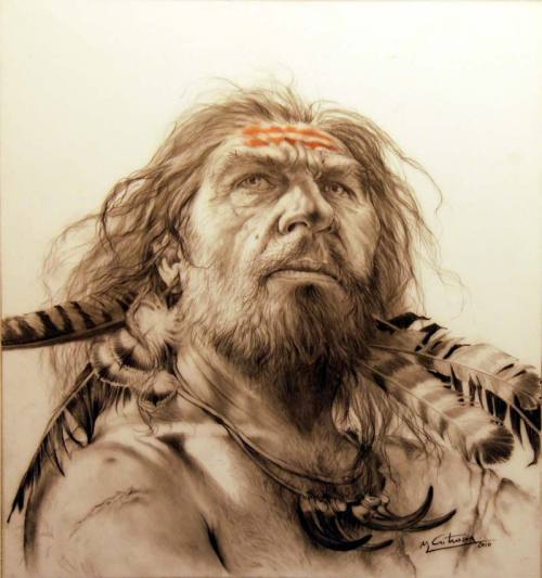 Modern humans and neanderthals