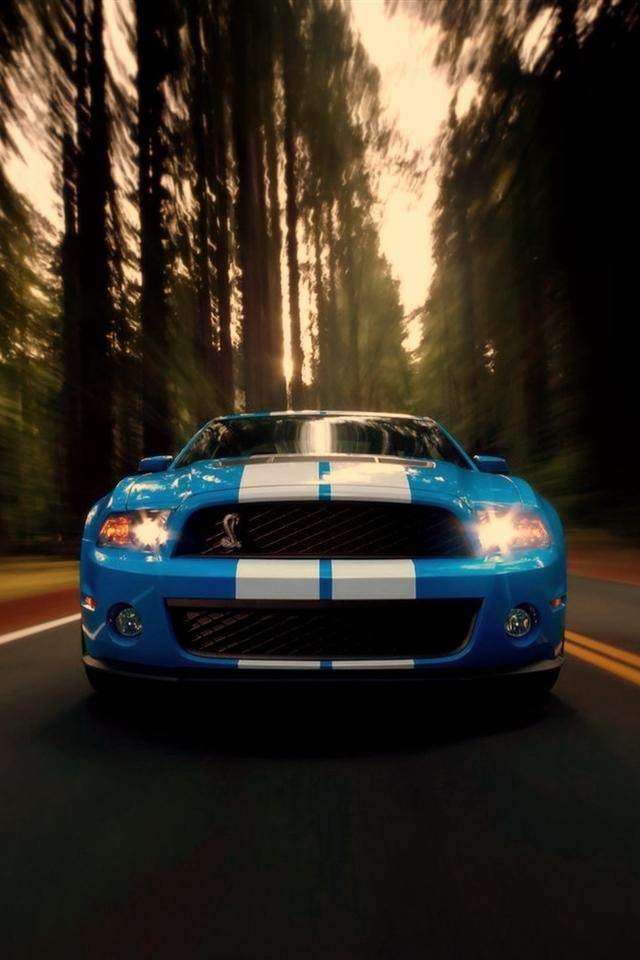 Ford Mustangs