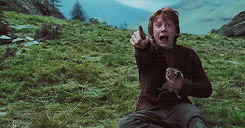  ϟ hp meme |  two books/movies  [2/2]→ Harry Potter and the Prisoner of Azkaban