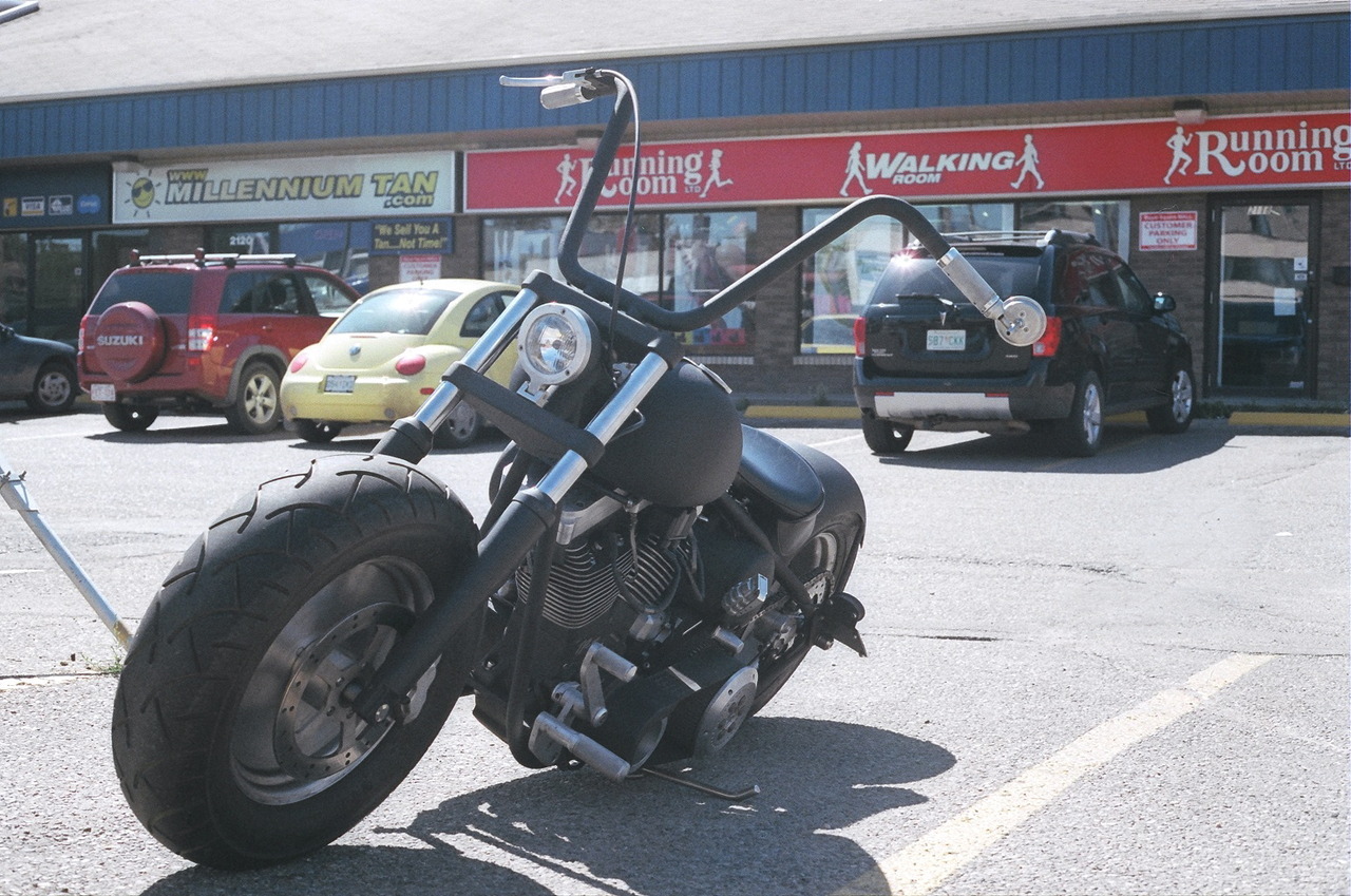 lifeofshralp:  Custom Harley 