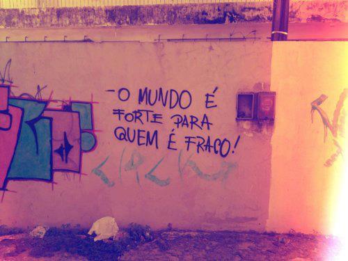 no rain. no flowers.