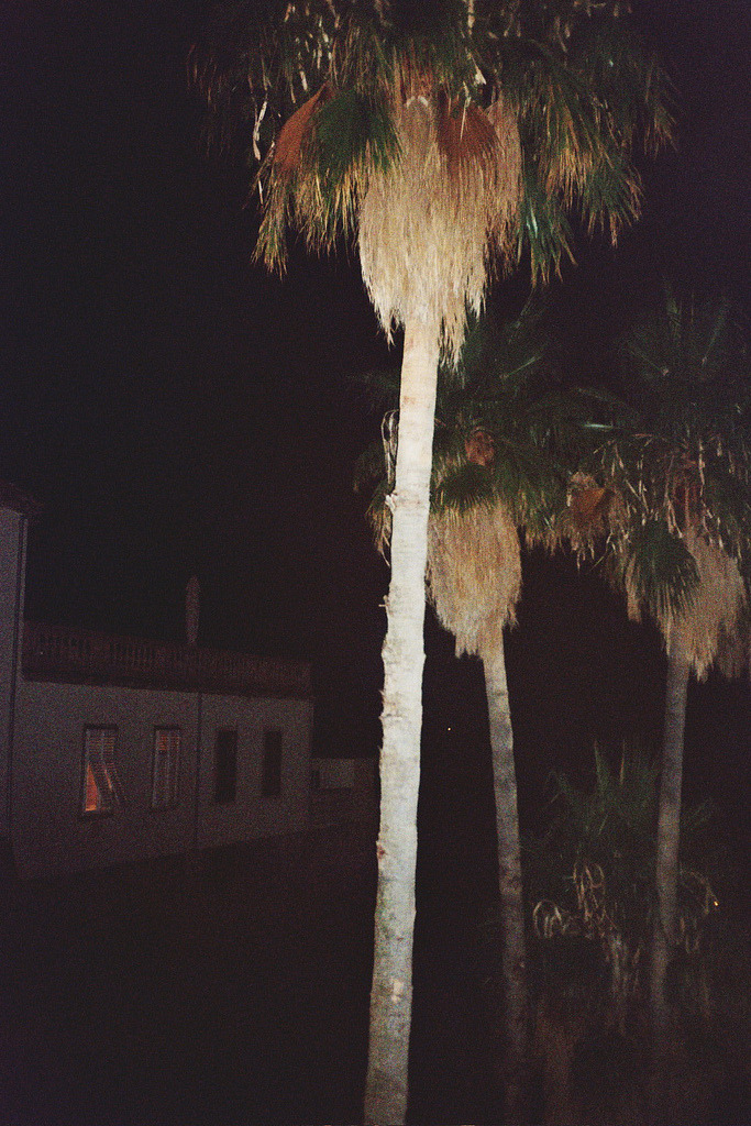 v0tum:  night 