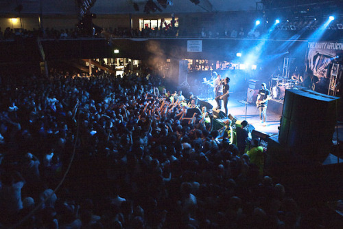odire:  The Amity Affliction 