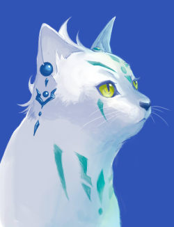  Astral Cat 