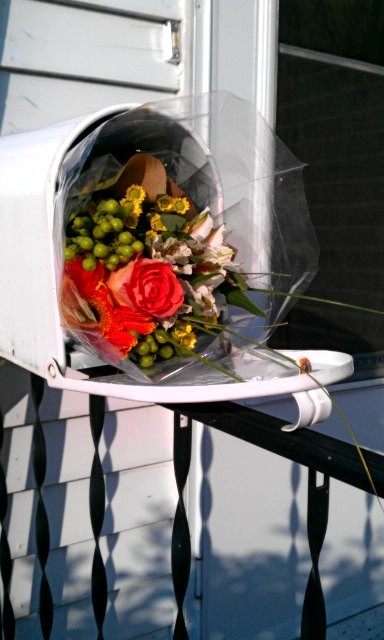 dearaimee:  I came home from work this afternoon to find a bundle of flowers in our mailbox with no 