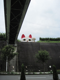 ethertune:  Big Maneki-Neko, Japan (By edamame