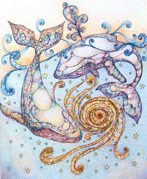 katefitzpatrick:  Humpback Whales before and after 