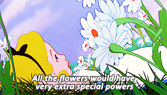 Some Imagination, huh?