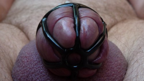 chastityrocks:  under pressure … horny like hell ! 