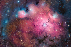 acreatureoftime:  (via nasa)