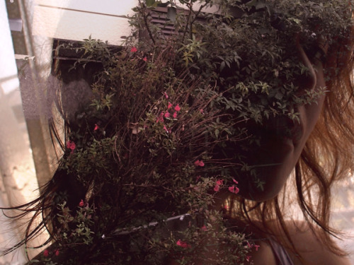 arpeggia:  Double exposure photography Miki Takahashi 