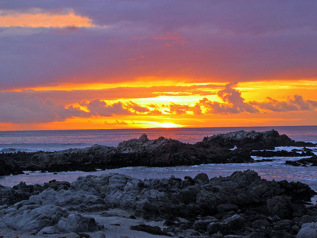 youareamazingpeople:  (via Beauty in Everything - Photography)© Mike