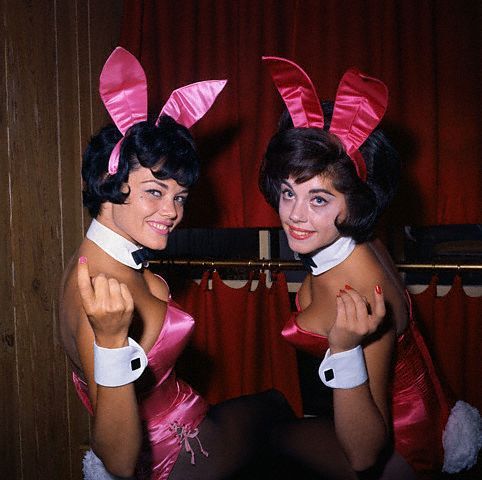  Bunnies c.1960