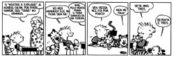 deposito-de-tirinhas:  por Bill Watterson