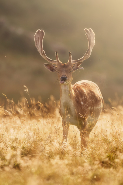 samaralex:
“ Mark Bridger
”