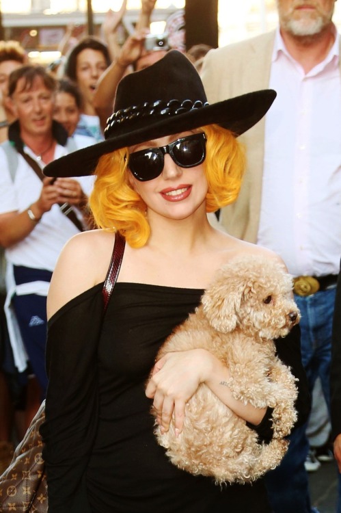 xoxo, Joanne