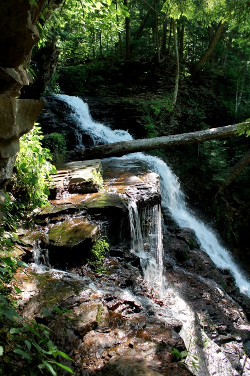 sunken-meadow:  ❊