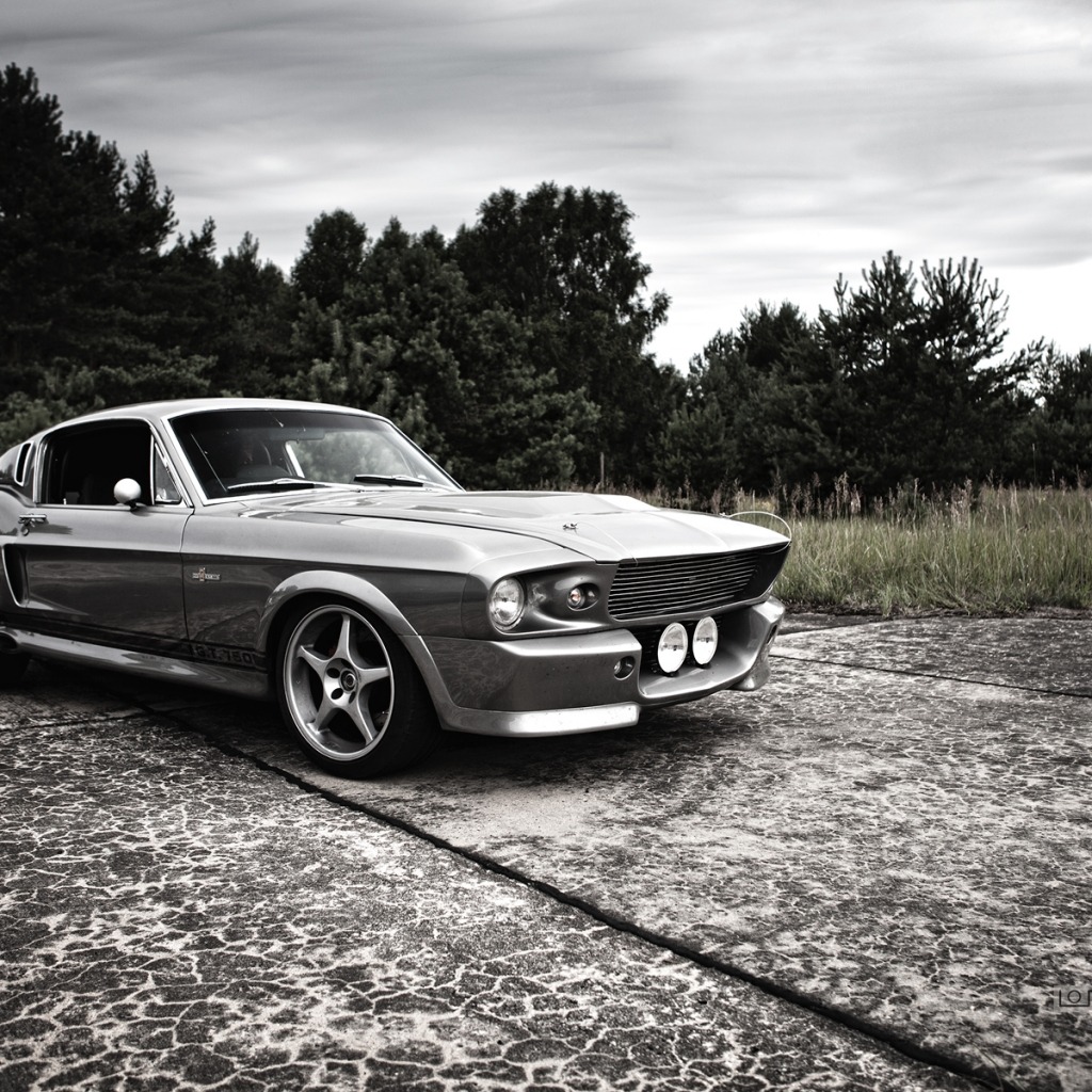 Ford Mustangs
