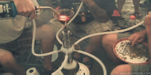 kingk0ngtits:  *drools*