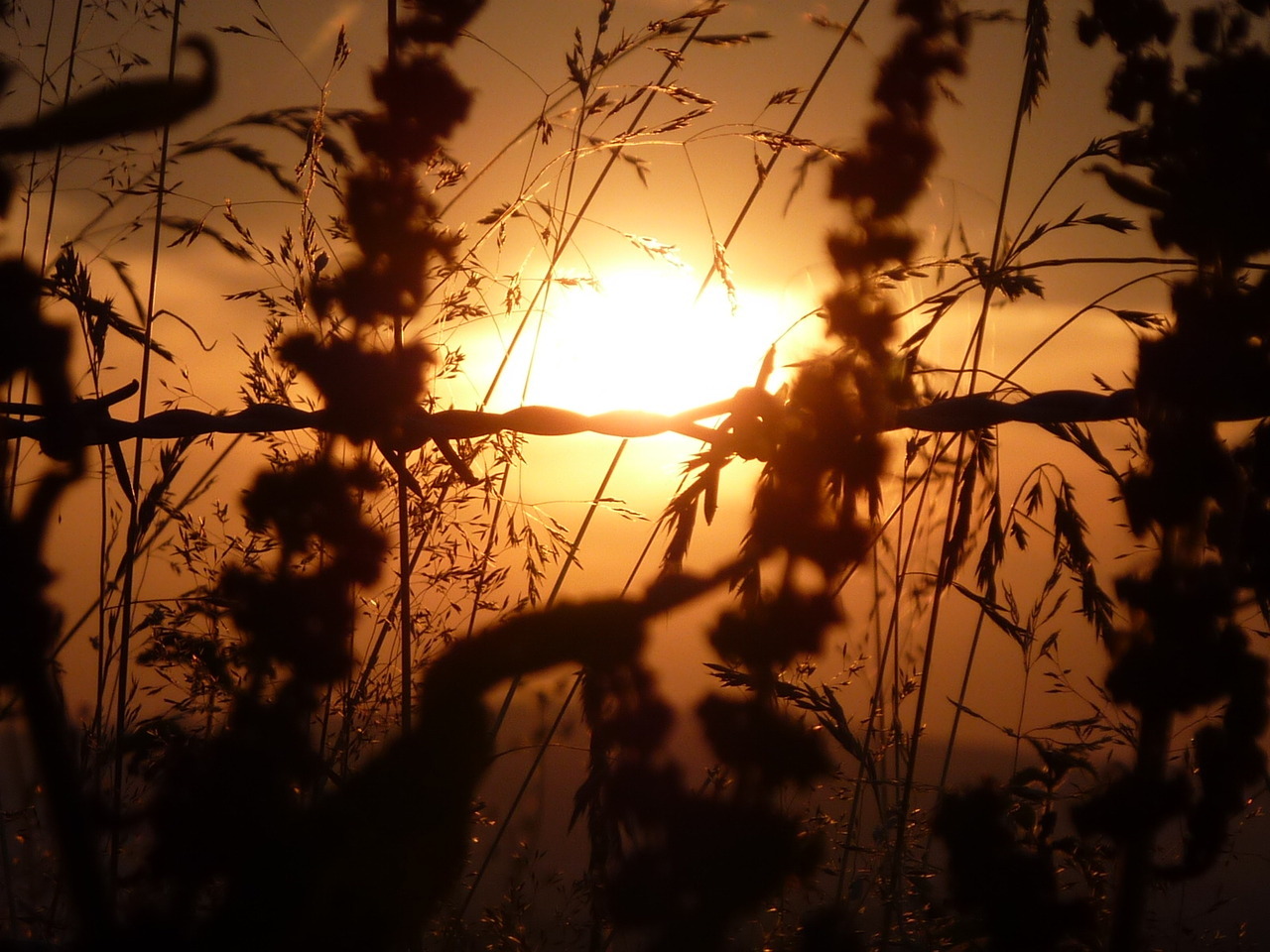 jumpingoversheep:  Pretty sunsets from my week in the Cotswolds ^-^ (I couldn’t