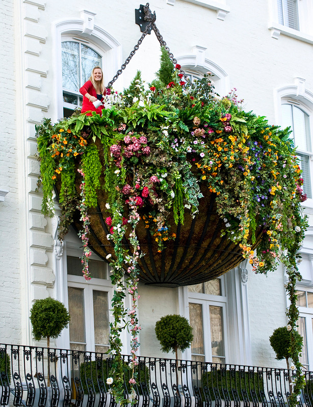 pricklylegs:  Towering 25 ft above the ground, a 20 x 10ft flower basket known as