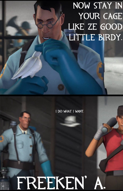 tf2shitfest:  I moved all my music folders and now I have rebuild all my playlists