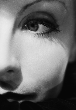 orsons: Greta Garbo photographed by Clarence Sinclair Bull, 1931 