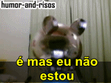 Sou só mais uma pequena princessa iludida . '