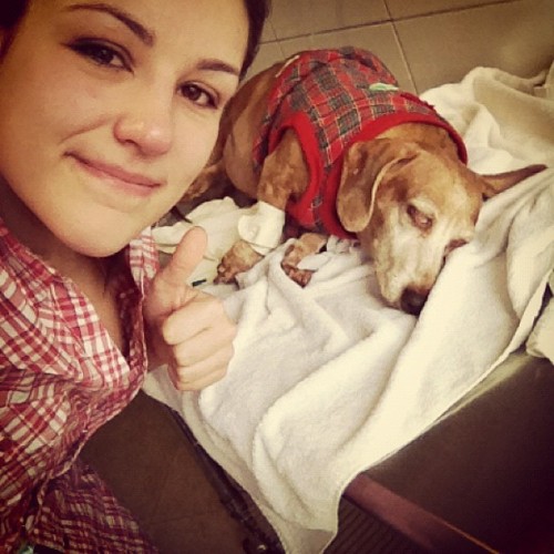  Você é fã da Kéfera, ou pelo menos gosta dela? Dolly; A cachorrinha dela, tá hipoglicemia forte, e o veterinário tá suspeitado de AVC! A Kéh tá muito mal, e não tá fazendo questão de esconder isso. Então, bora dar uma força? Vamo subir: