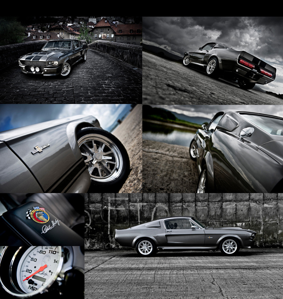 Ford Mustangs