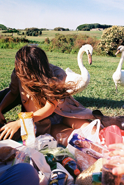 euphoria