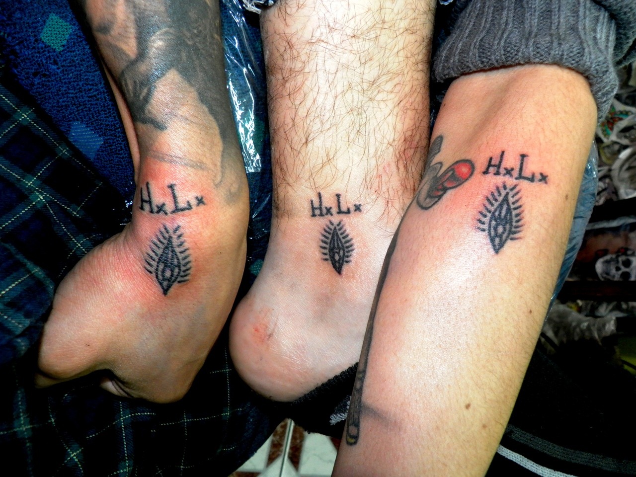 Tattoo de ave fenix