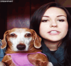 A Dolly morreu cara :/