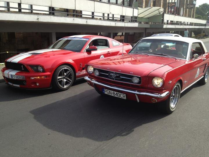 Ford Mustangs