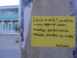 un-humano-infeliz:  god-is—gay:  entonces quienes son los débiles al final?  