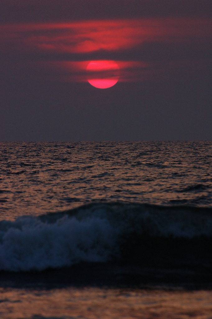 c0caino:  Goan sunset