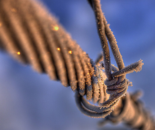 Frosty Bokeh by Osgoldcross Photography on Flickr.