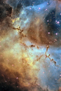 Throughascientificlens:  Dust Sculptures In The Rosette Nebula  The Rosette Nebula