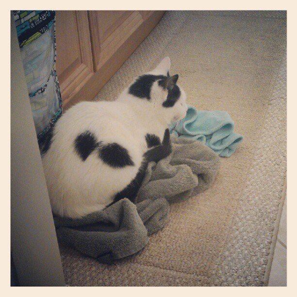 Not like I was planning on drying myself off with that towel or anything&hellip;thanks
