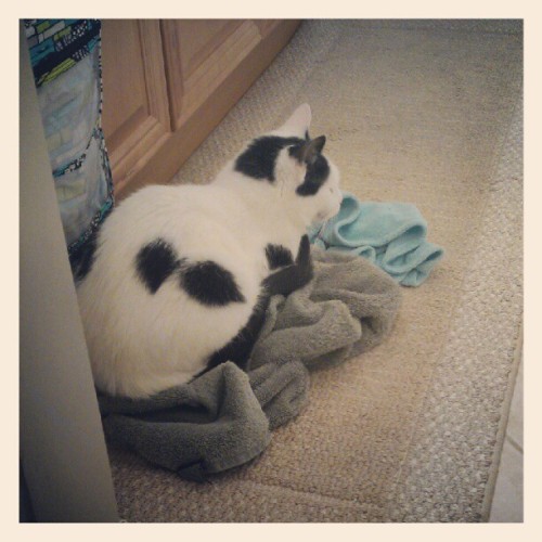 Not like I was planning on drying myself off with that towel or anything…thanks Mish. (Taken with Instagram)