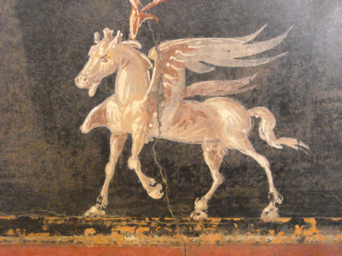 ancientart: Pegasus, Ancient Roman fresco from Pompeii (79 AD) currently located at the Naples Archaeological Museum.