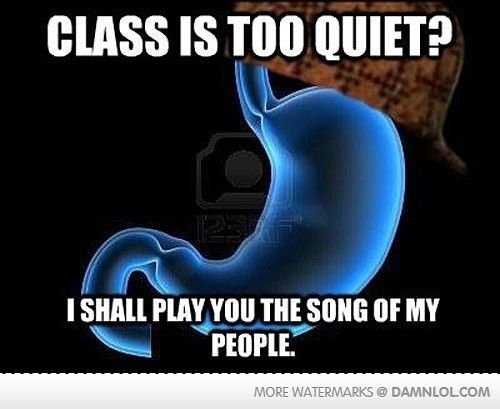 c0quettes-temporary:  kingjaffejoffer:  Scumbag Stomach  I have the fucking loudest