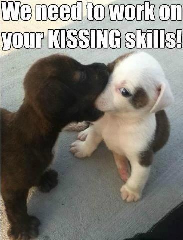 Something cute to make you smile