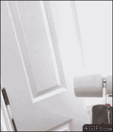 idontwanttoseeyourfuckingface:  I seriously want one of these.