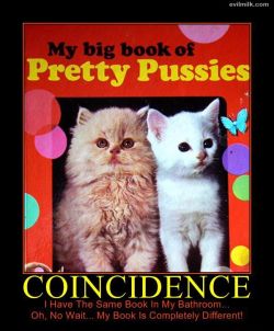 My big book of pretty pussies