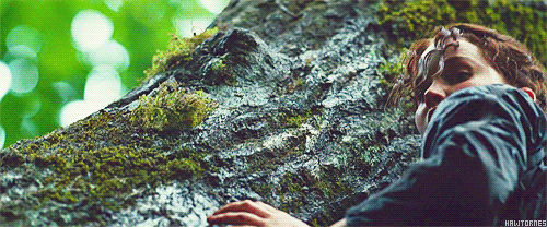 hawtornes:  Kill her, Cato! 